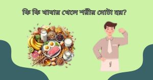 কি কি খাবার খেলে শরীর মোটা হয়